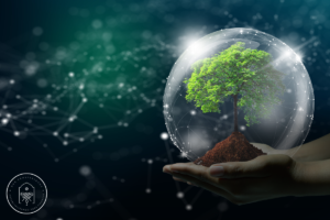 Modo Sobrevivência: O Conforto Que Está Custando Seu Futuro